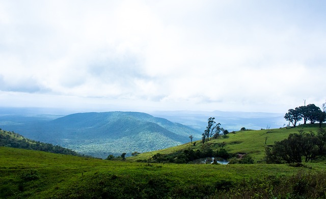 会传闻正是 会传闻正是