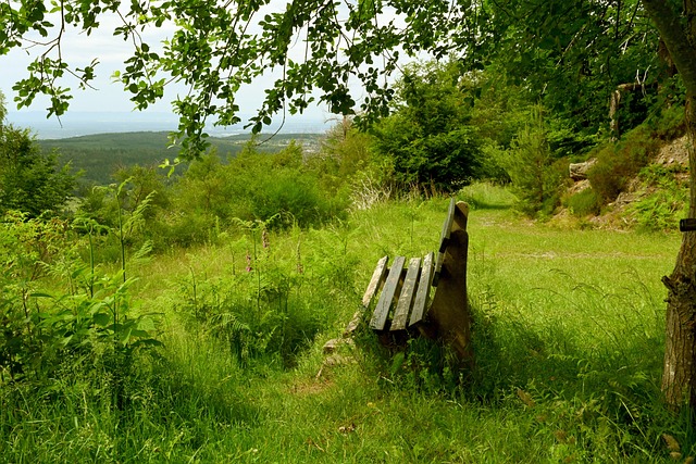 及球迷的担 及球迷的担