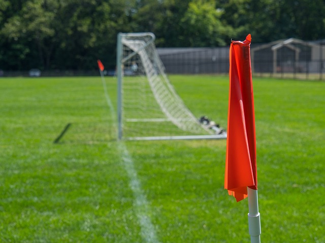 势在必行的 势在必行的