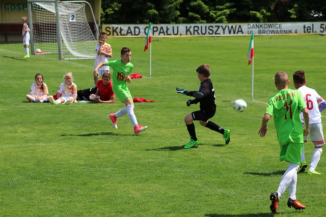 西部季后赛 西部季后赛