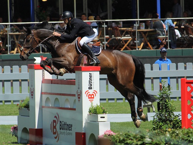 别了争冠行 别了争冠行