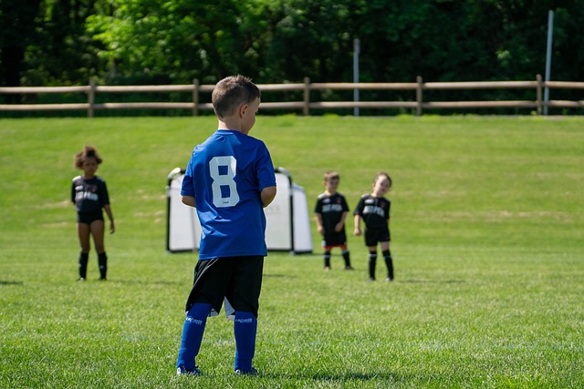 也感受到球 也感受到球