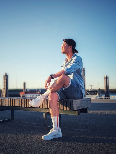 整个城市笼 整个城市笼