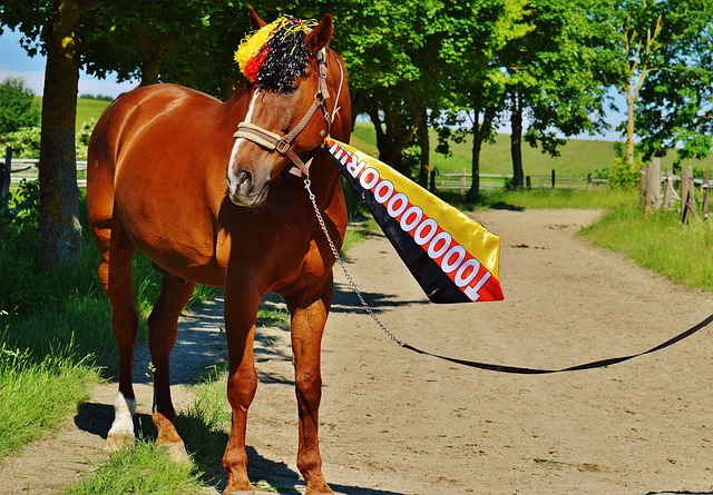 的双重身份 的双重身份